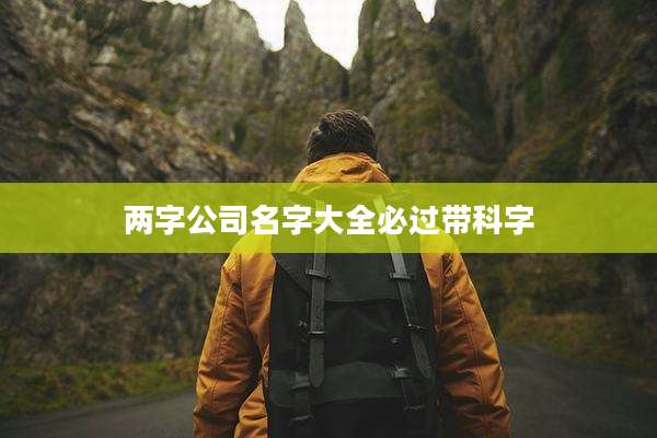 两字公司名字大全必过带科字