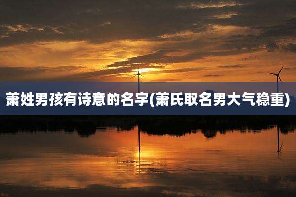 萧姓男孩有诗意的名字(萧氏取名男大气稳重)