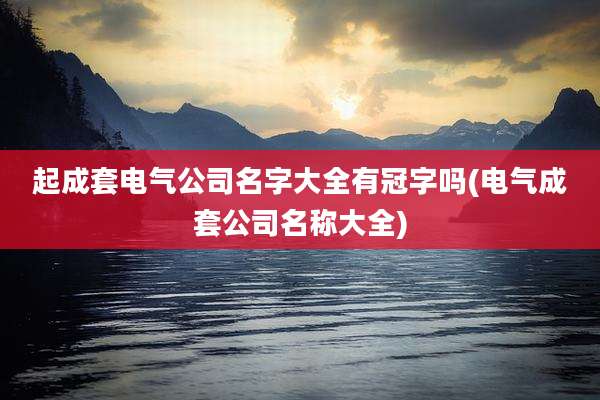 起成套电气公司名字大全有冠字吗(电气成套公司名称大全)