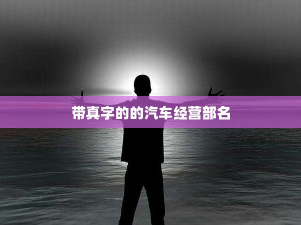 带真字的的汽车经营部名