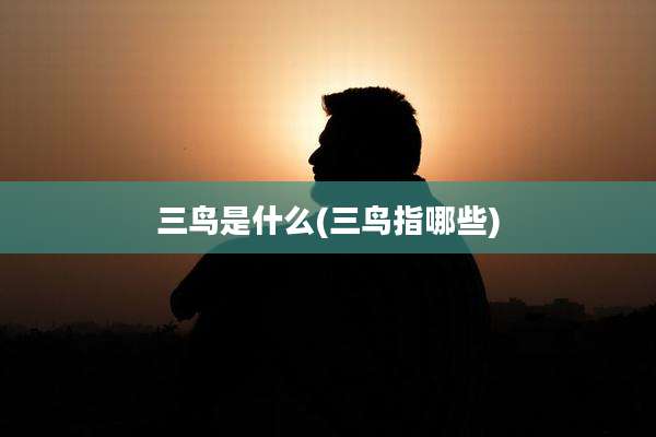 三鸟是什么(三鸟指哪些)