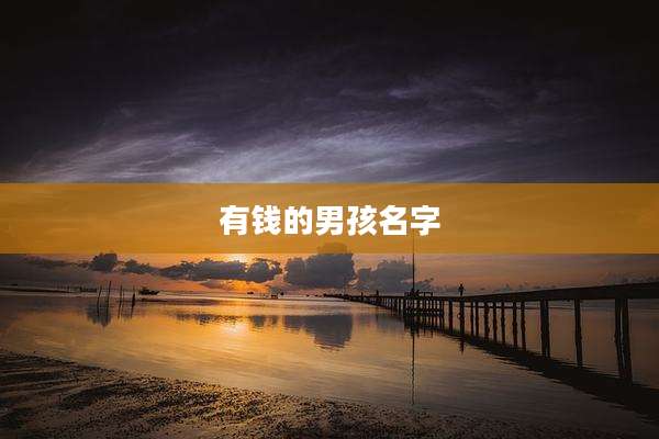 有钱的男孩名字