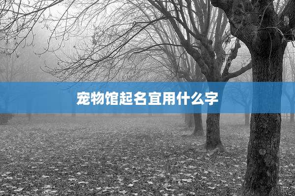宠物馆起名宜用什么字