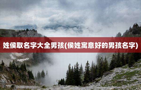 姓侯取名字大全男孩(侯姓寓意好的男孩名字)