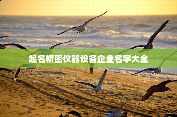 起名精密仪器设备企业名字大全