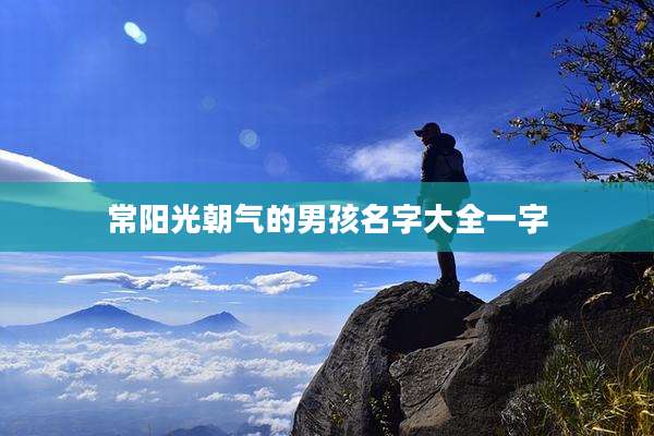 常阳光朝气的男孩名字大全一字