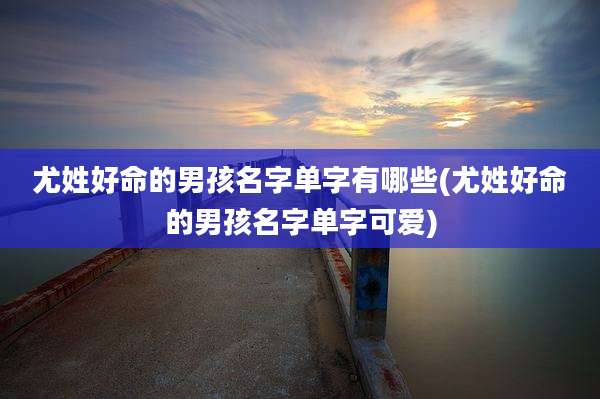 尤姓好命的男孩名字单字有哪些(尤姓好命的男孩名字单字可爱)