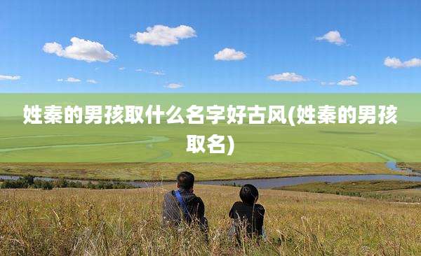 姓秦的男孩取什么名字好古风(姓秦的男孩取名)