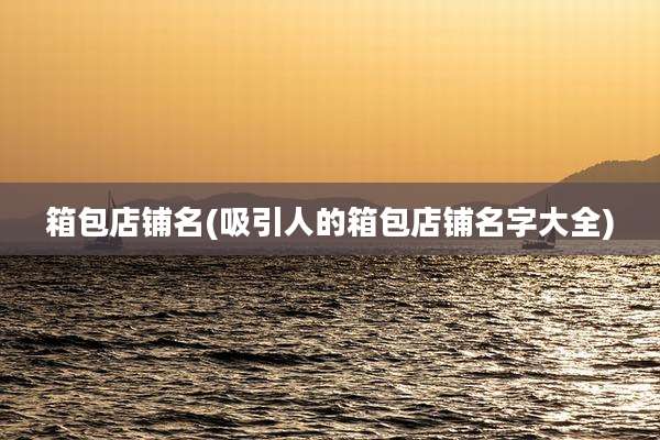 箱包店铺名(吸引人的箱包店铺名字大全)
