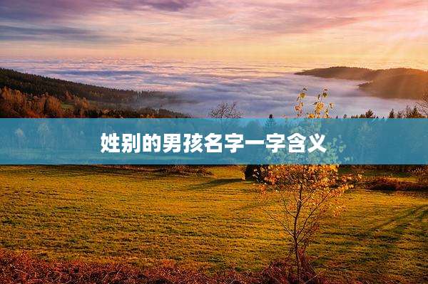 姓别的男孩名字一字含义