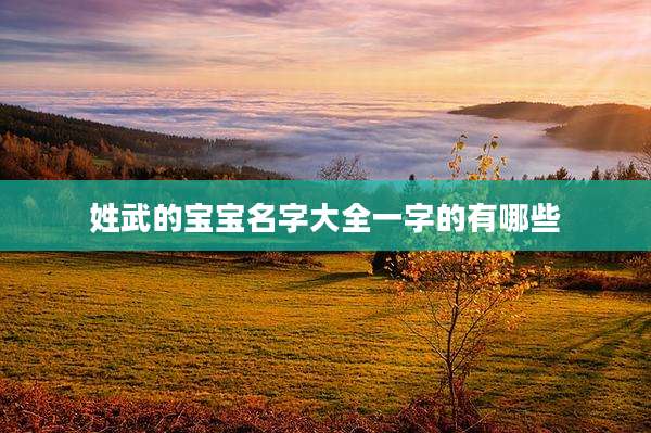 姓武的宝宝名字大全一字的有哪些