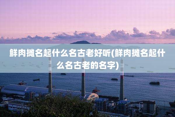 鲜肉摊名起什么名古老好听(鲜肉摊名起什么名古老的名字)