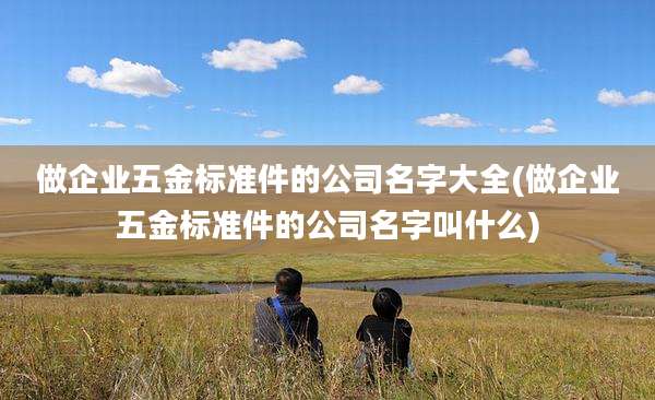做企业五金标准件的公司名字大全(做企业五金标准件的公司名字叫什么)