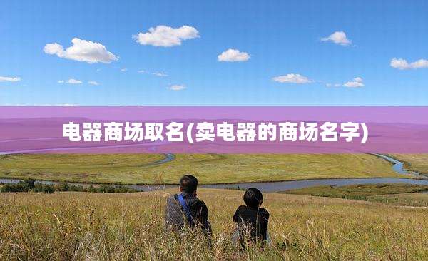 电器商场取名(卖电器的商场名字)
