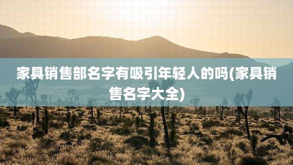 家具销售部名字有吸引年轻人的吗(家具销售名字大全)