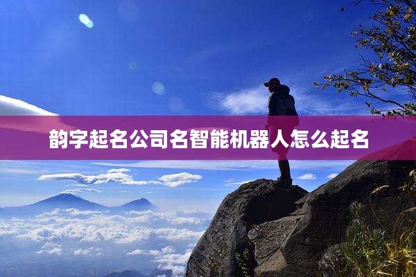 韵字起名公司名智能机器人怎么起名