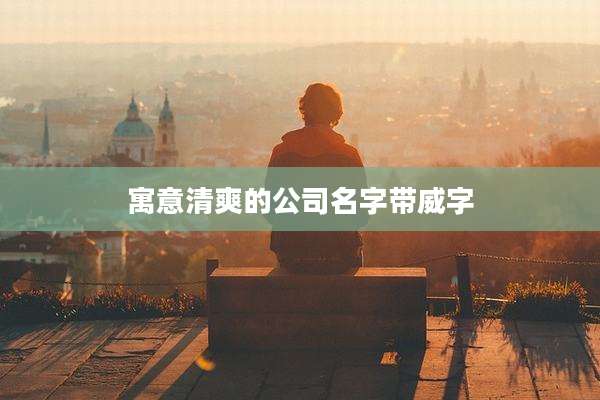 寓意清爽的公司名字带威字