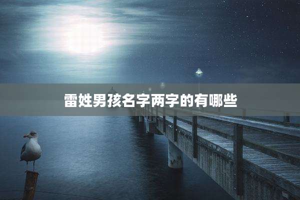 雷姓男孩名字两字的有哪些