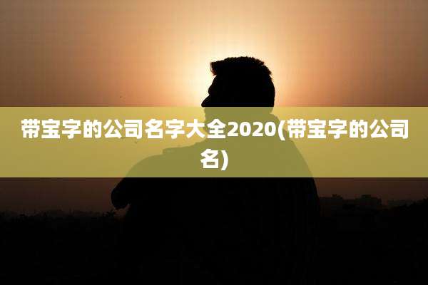 带宝字的公司名字大全2020(带宝字的公司名)