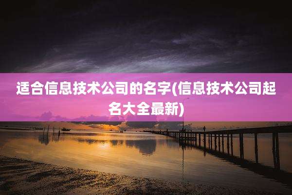 适合信息技术公司的名字(信息技术公司起名大全最新)