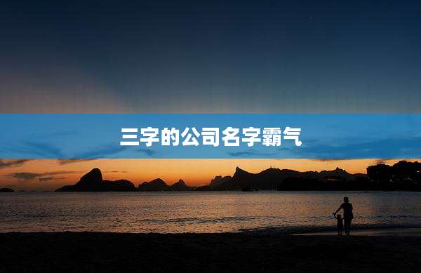 三字的公司名字霸气
