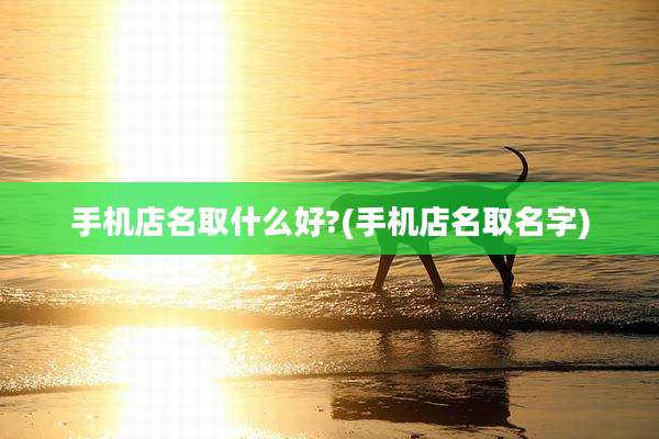 手机店名取什么好?(手机店名取名字)