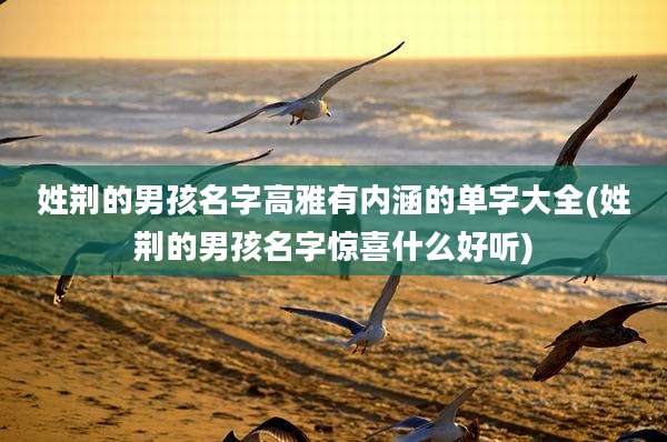 姓荆的男孩名字高雅有内涵的单字大全(姓荆的男孩名字惊喜什么好听)