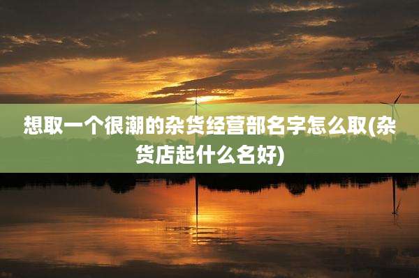 想取一个很潮的杂货经营部名字怎么取(杂货店起什么名好)