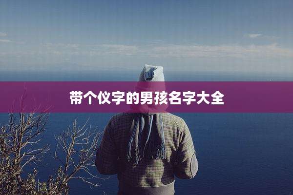 带个仪字的男孩名字大全