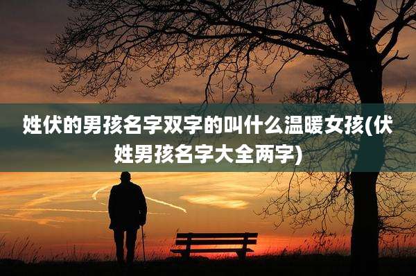 姓伏的男孩名字双字的叫什么温暖女孩(伏姓男孩名字大全两字)