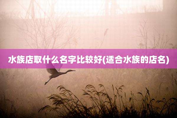 水族店取什么名字比较好(适合水族的店名)