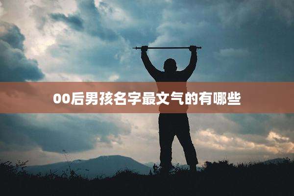 00后男孩名字最文气的有哪些