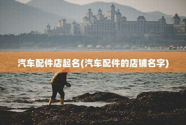 汽车配件店起名(汽车配件的店铺名字)