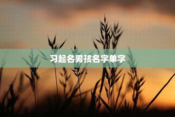 习起名男孩名字单字