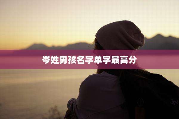 岑姓男孩名字单字最高分