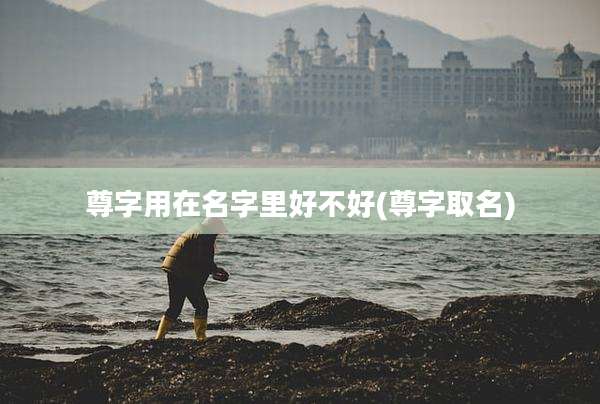 尊字用在名字里好不好(尊字取名)