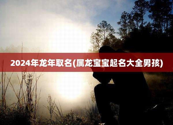 2024年龙年取名(属龙宝宝起名大全男孩)