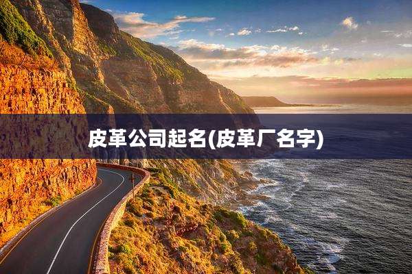 皮革公司起名(皮革厂名字)