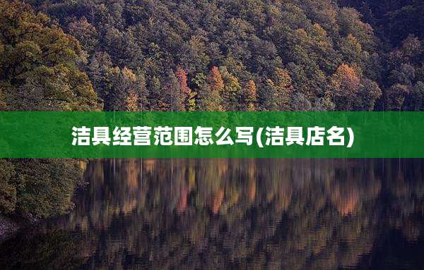 洁具经营范围怎么写(洁具店名)