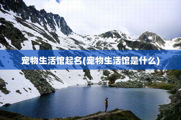 宠物生活馆起名(宠物生活馆是什么)