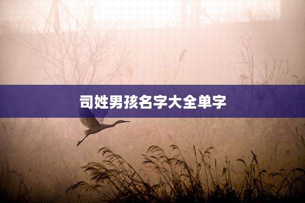 司姓男孩名字大全单字
