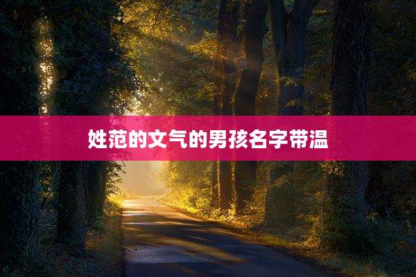 姓范的文气的男孩名字带温