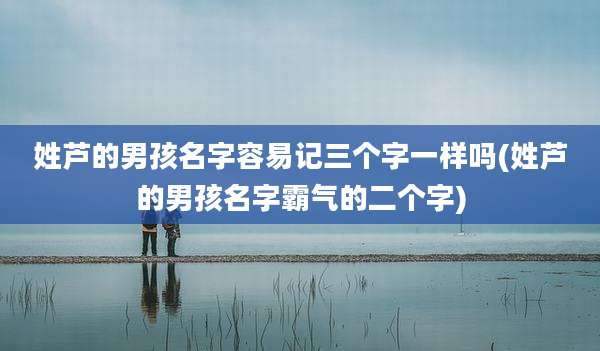 姓芦的男孩名字容易记三个字一样吗(姓芦的男孩名字霸气的二个字)