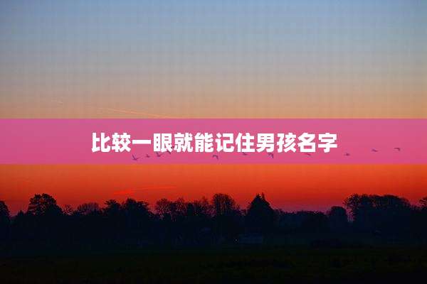 比较一眼就能记住男孩名字