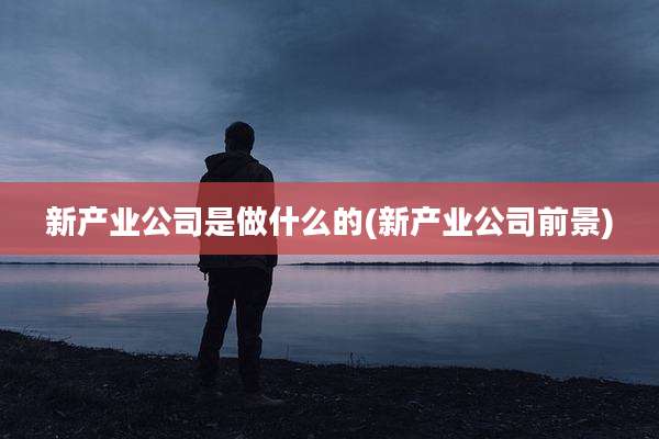 新产业公司是做什么的(新产业公司前景)