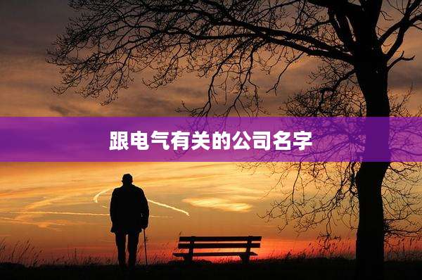 跟电气有关的公司名字