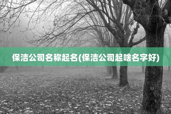 保洁公司名称起名(保洁公司起啥名字好)