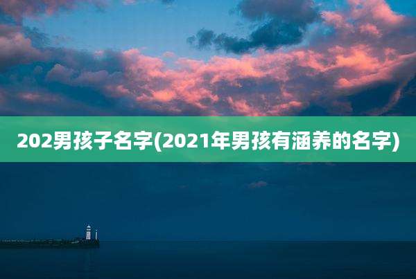 202男孩子名字(2021年男孩有涵养的名字)