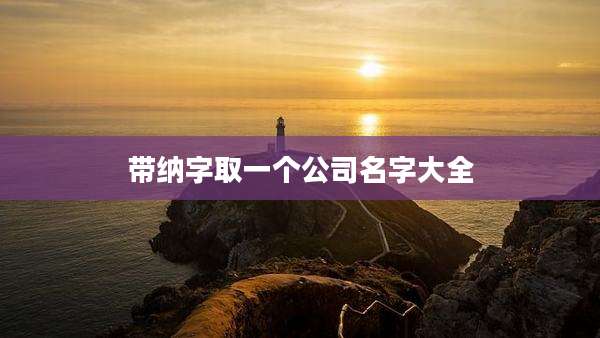 带纳字取一个公司名字大全