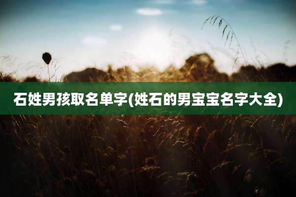 石姓男孩取名单字(姓石的男宝宝名字大全)